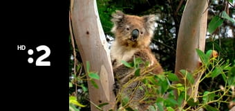 Čudná príroda E24