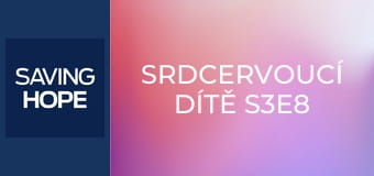 Srdcervoucí dítě S3E8