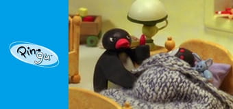 Pingu Sezon 6 Odcinek 6
