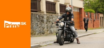 Krejzovi E43 - Zlodej a veterinár