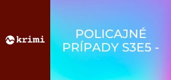 Policajné prípady S3E5 - Agresívny hosť, Nepodarená schôdzka, Zamestnanec zlodejom, Okno