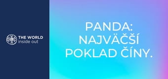 Panda: najväčší poklad Číny. Život v horskej dedine. Čína.