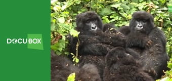 Cel podróży S1E9 - Rwanda