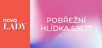 Pobřežní hlídka S9E17