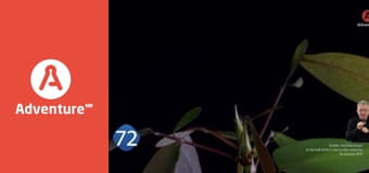 77 TV E2 - Przypadki wyzwań i eksperymentów