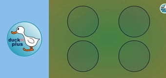 DuckSchool DuckSchool