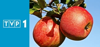 Magazyn rolniczy E694