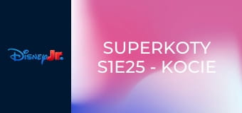 Superkoty S1E25 - Kocie kopie / Leniwa lotniczka