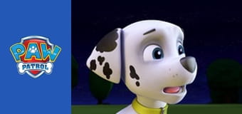 Patrula căţeluşilor Sezonul 1 Episodul 10