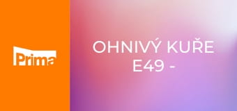 Ohnivý kuře E49 - Omyl, otec spokojenosti