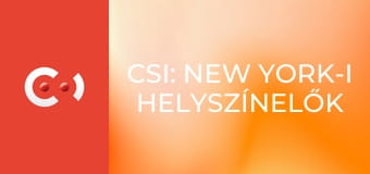 CSI: New York-i helyszínelők S9E6 - Lány a tóban
