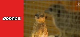 Póker E15 - WSOP Poker 2025, ism., HD