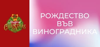 Рождество във виноградника