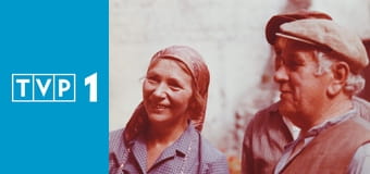 Dom E10 - Nie przesadza się starych drzew