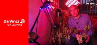 Futuris - Flora Robotica