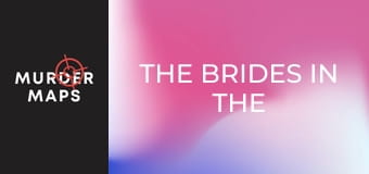 Vrah nevěst ve vaně