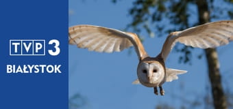 Prywatne życie zwierząt