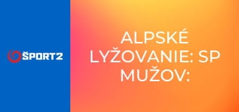 Alpské lyžovanie: SP mužov: Lillehammer