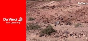 Siyaya - Come Wild With Us - On the Spoor of the Big Snake - Part 3: Making Deep Tracks