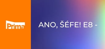 Ano, šéfe! E8 - Restaurace Zahrada v Opeře – Praha