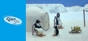 Pingu Sezon 1 Odcinek 15 Pingu Sezon 1 Odcinek 15