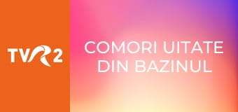 Comori uitate din bazinul Mediteranei - Muzeul de Arte Frumoase din Alger