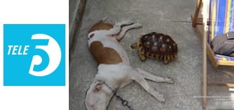 Uśmiechnij się S1E8