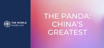A panda: Kína legnagyobb kincse. Élet egy hegyi faluban. Kína.