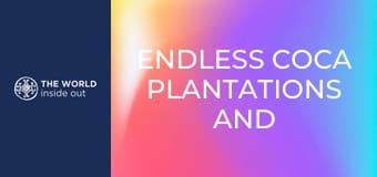 Nekonečné plantáže koky a opekané morské prasiatko na špíze. Bolívia.