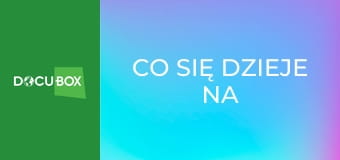 Co się dzieje na świecie S1E11