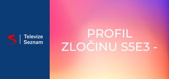 Profil zločinu S5E3 - Před kamerou