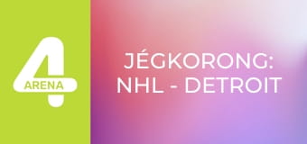 Jégkorong: NHL - Detroit Red Wings – Vegas Golden Knights