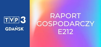 Raport gospodarczy E212