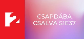 Csapdába csalva S1E37