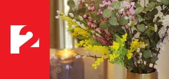 Trendmánia E12 - Episode 12