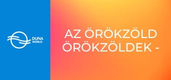 Az örökzöld örökzöldek - Az Apostol, Generál és a Gemini együttes