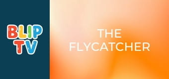 The Flycatcher The Flycatcher