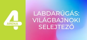 Labdarúgás: Világbajnoki selejtező