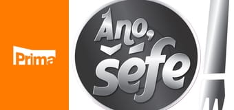 Ano, šéfe! - Motorest Galerie – Karlov