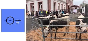 Nemzeti Sporthíradó