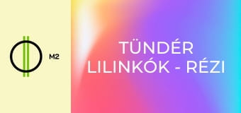 Tündér lilinkók - Rézi és az álmok