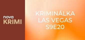 Kriminálka Las Vegas S9E20 - Návštěvníci