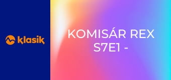 Komisár Rex S7E1 - Nepobozkáš policajta