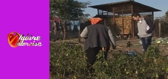 Iubire interzisa Sezon 7 Episod 7