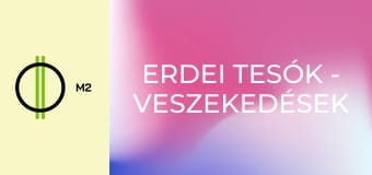 Erdei tesók - Veszekedések és civakodások