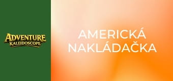 Americká nakládačka