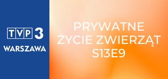 Prywatne życie zwierząt S13E9 - Ewolucja