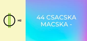 44 csacska macska - Vad kölykök