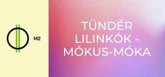 Tündér lilinkók - Mókus-móka Habzsi módra