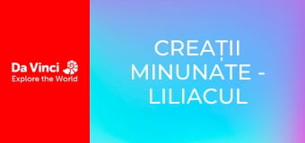 Creații minunate - Liliacul grăsuţ